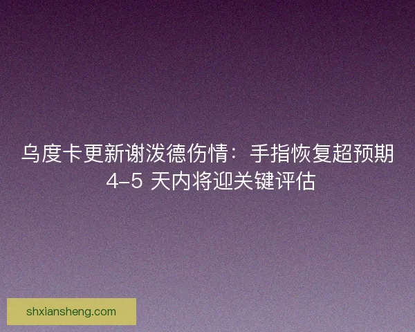 乌度卡更新谢泼德伤情：手指恢复超预期 4-5 天内将迎关键评估