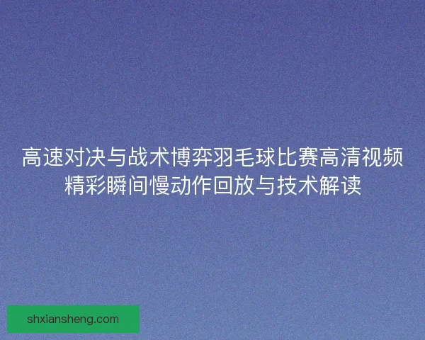 高速对决与战术博弈羽毛球比赛高清视频精彩瞬间慢动作回放与技术解读