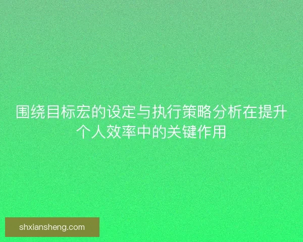 围绕目标宏的设定与执行策略分析在提升个人效率中的关键作用