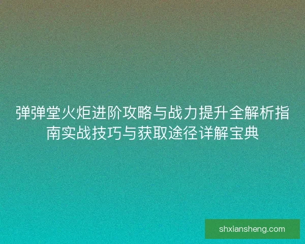 弹弹堂火炬进阶攻略与战力提升全解析指南实战技巧与获取途径详解宝典