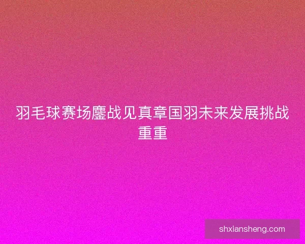 羽毛球赛场鏖战见真章国羽未来发展挑战重重 羽毛球赛场鏖战见真章国羽未来发展挑战重重