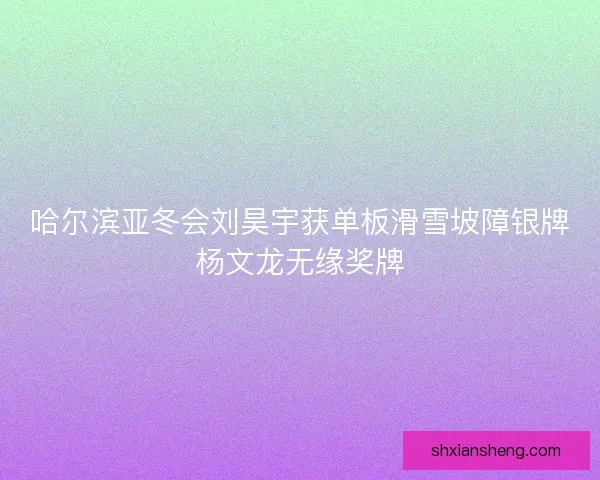 哈尔滨亚冬会刘昊宇获单板滑雪坡障银牌杨文龙无缘奖牌 哈尔滨亚冬会刘昊宇获单板滑雪坡障银牌杨文龙无缘奖牌