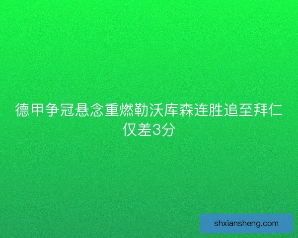 德甲争冠悬念重燃勒沃库森连胜追至拜仁仅差3分 德甲争冠悬念重燃勒沃库森连胜追至拜仁仅差3分